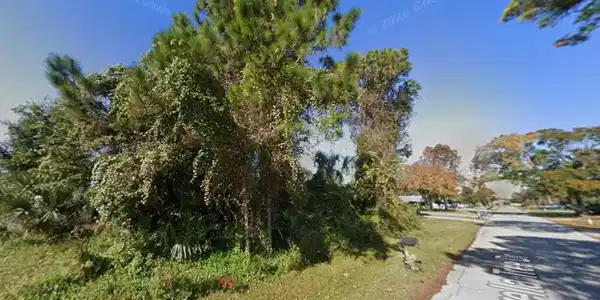1328 UMBRELLA TREE DRIVE