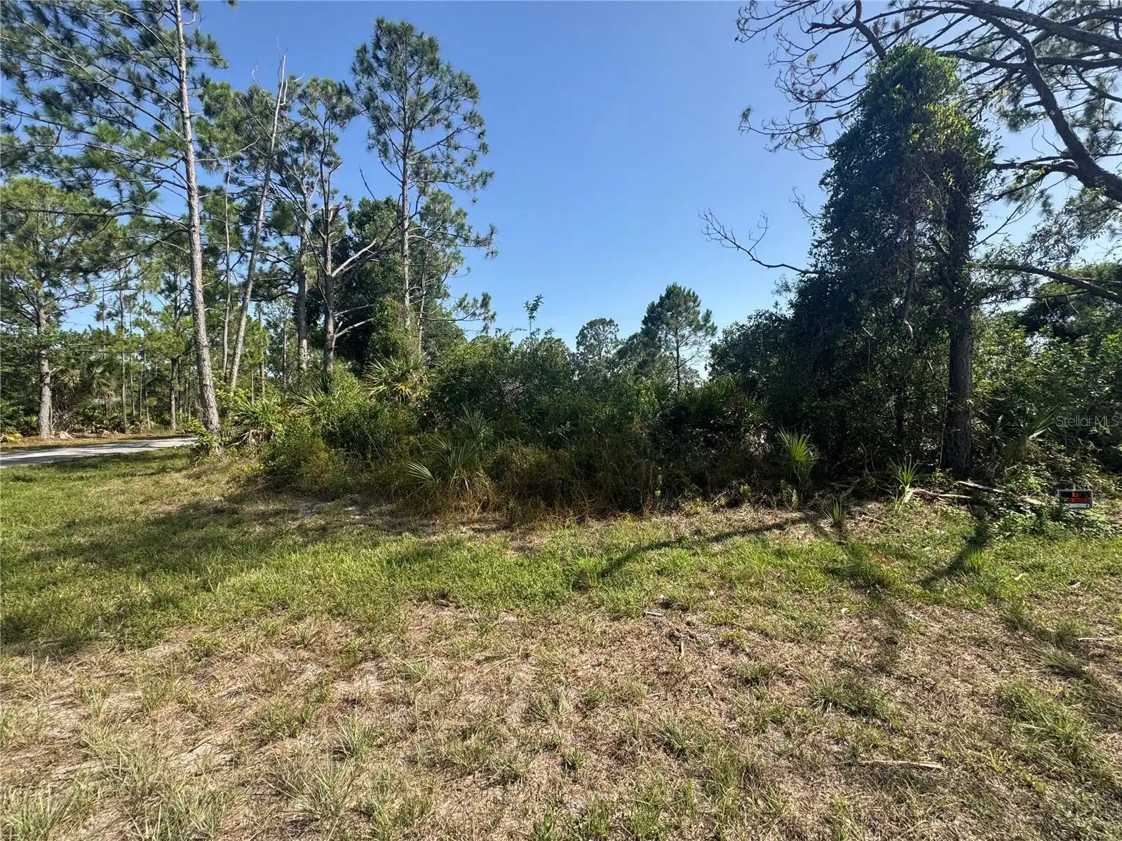 Image 1 Image 1