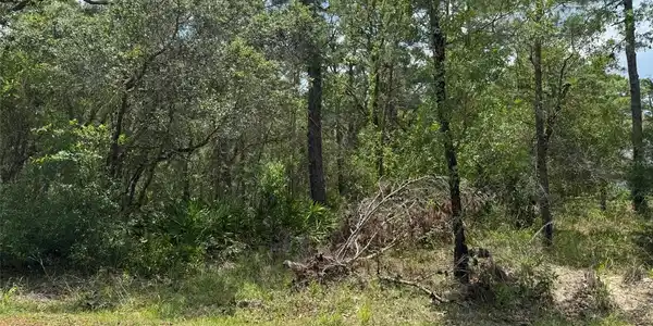 Image 3 Image 3