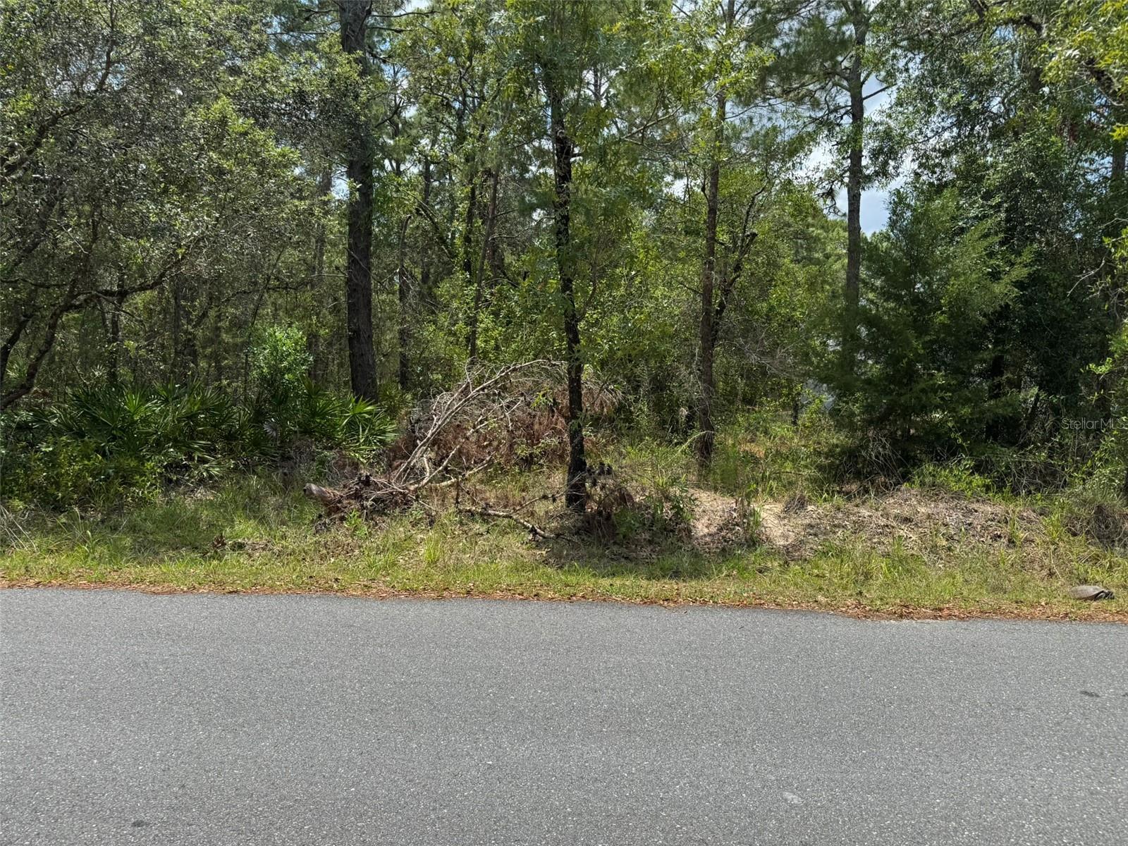 Image 4 Image 4