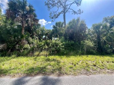 539 MCDILL DRIVE