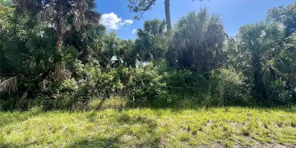 539 MCDILL DRIVE