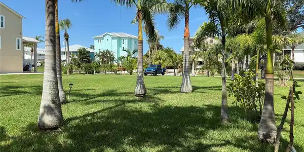 Image 4 Image 4