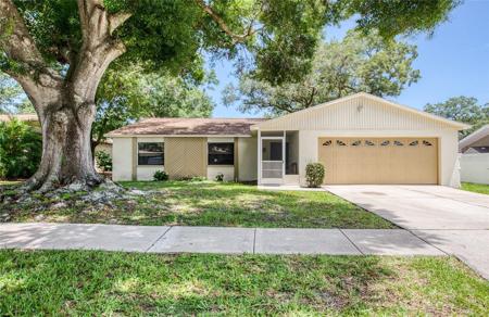 213 LOTUS DRIVE