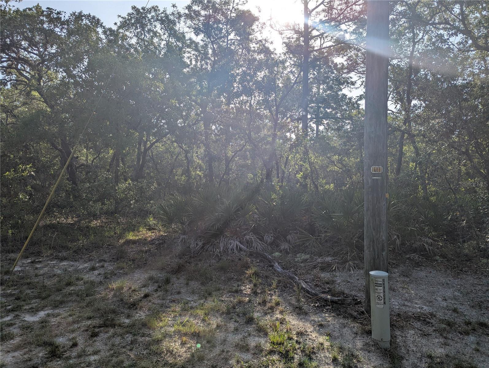 Image 1 Image 1