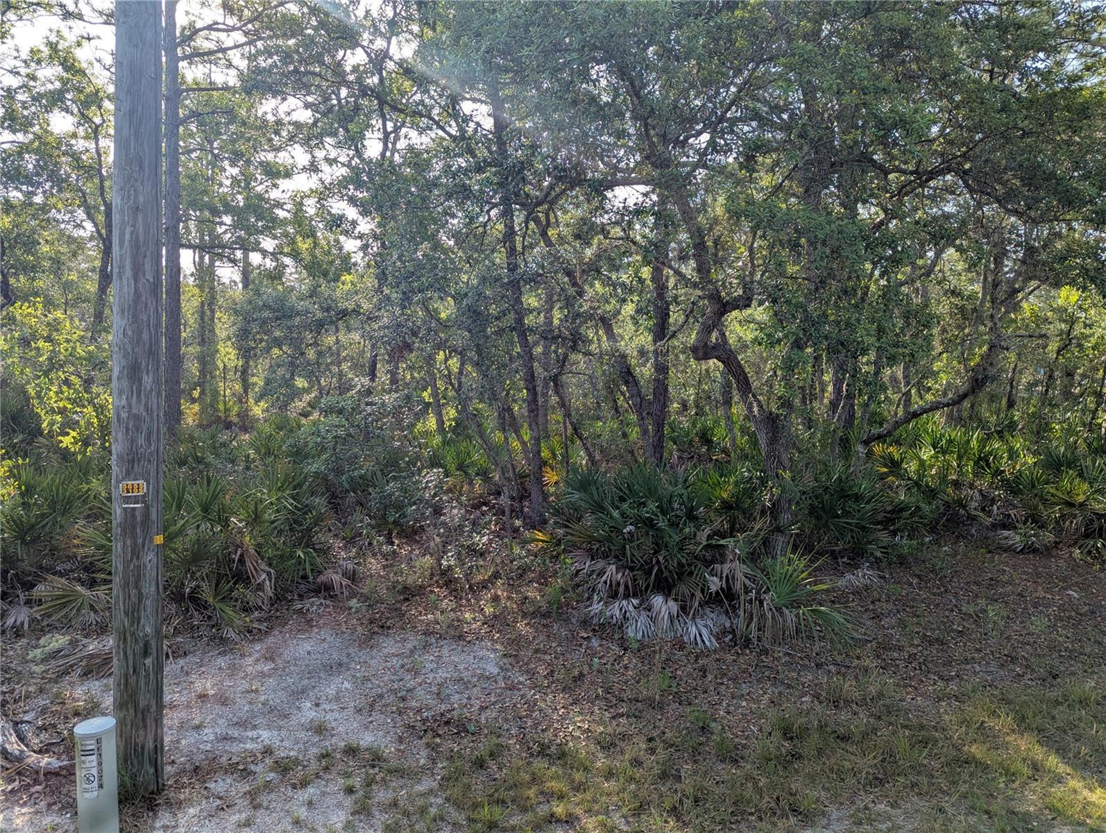 Image 3 Image 3