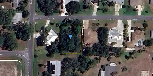 319 CITRUS DRIVE