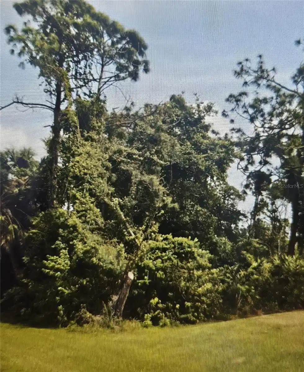 Image 1 Image 1