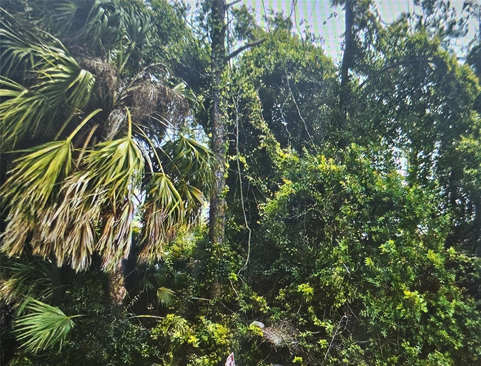 Image 3 Image 3