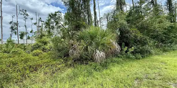 Image 3 Image 3