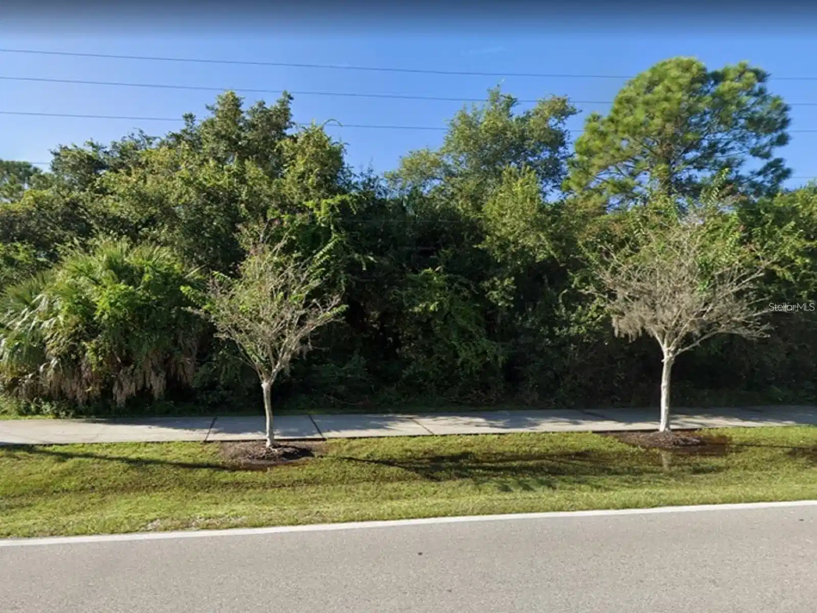 Image 1 Image 1