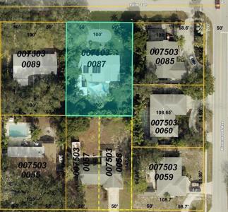 2244 PALM TERRACE