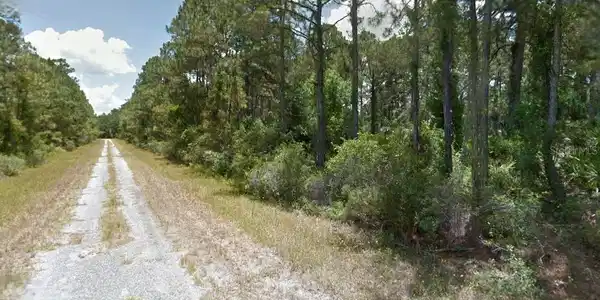 Image 3 Image 3