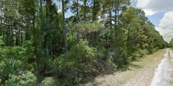 Image 4 Image 4
