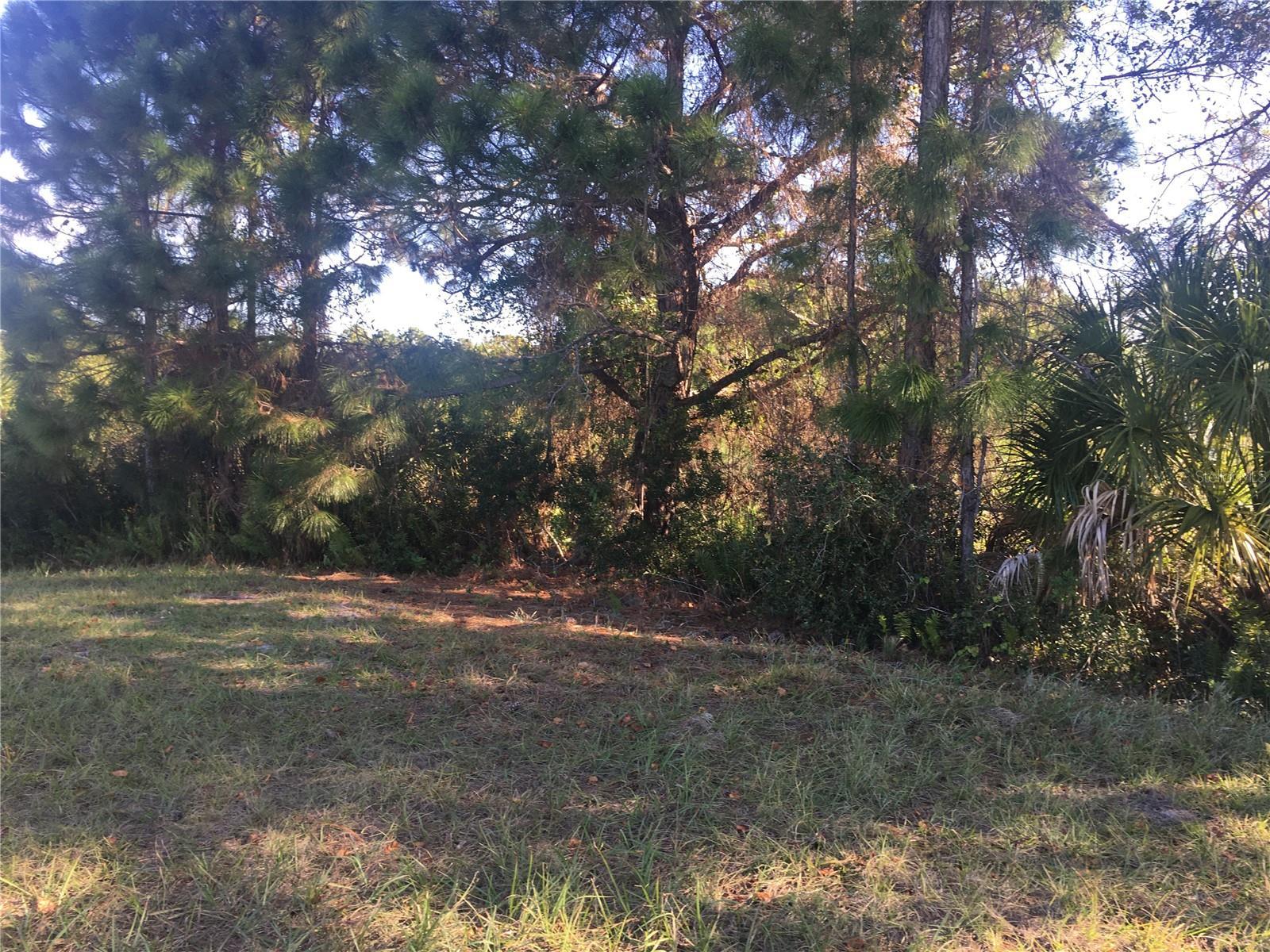 Image 3 Image 3