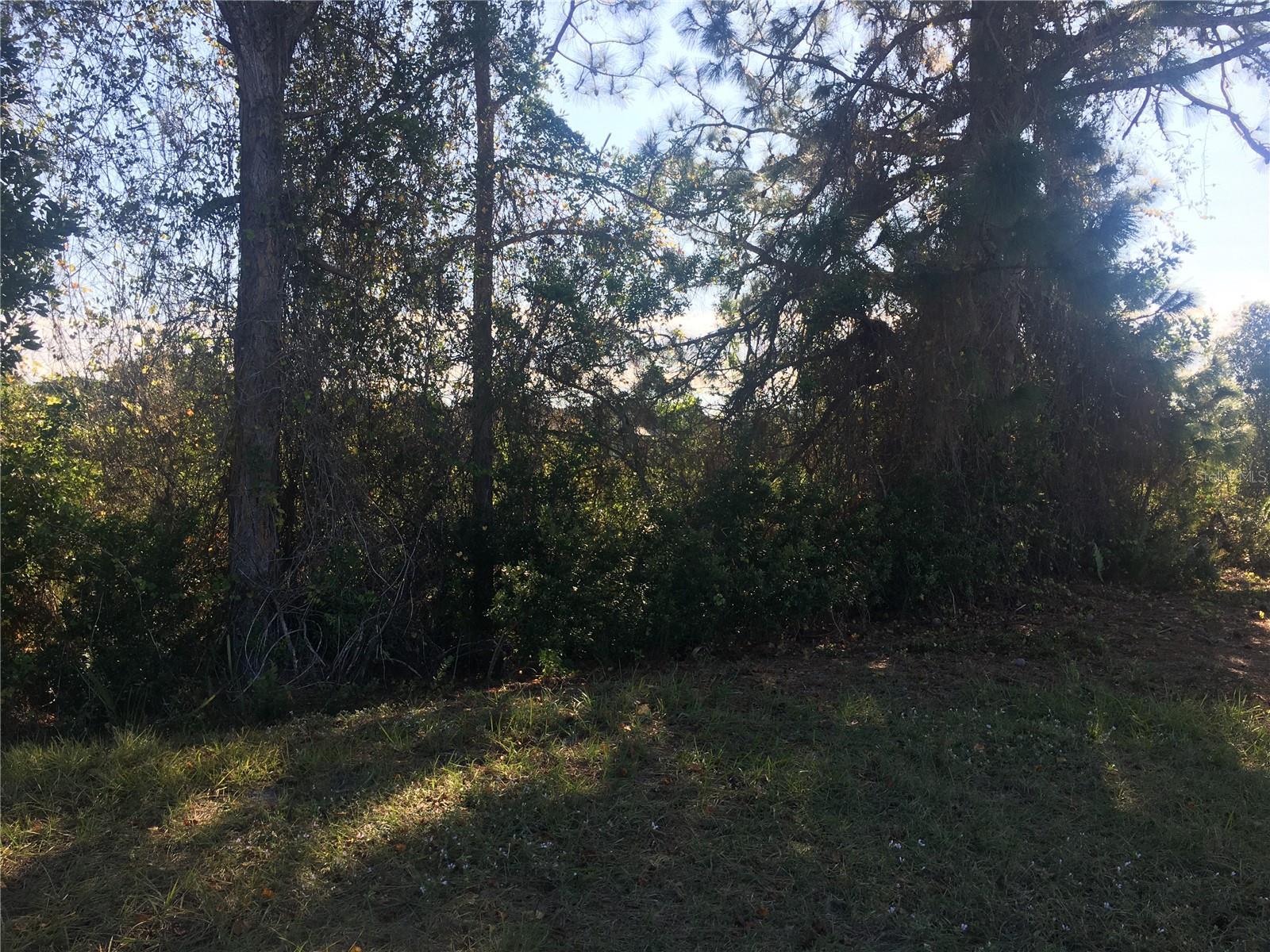 Image 4 Image 4