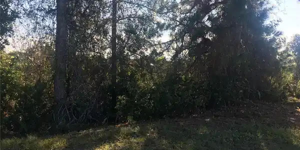 Image 4 Image 4