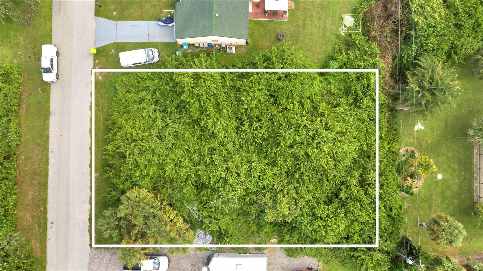 Image 4 Image 4