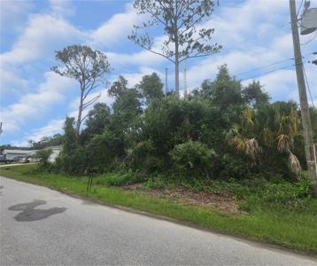 TARABILLA AVENUE