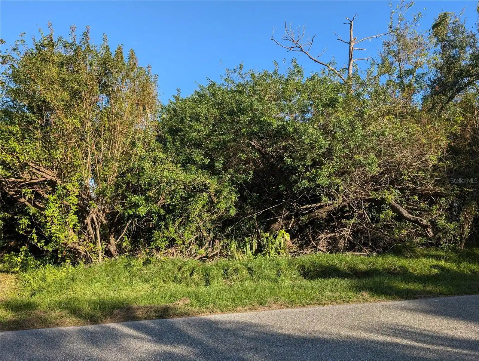 Image 1 Image 1