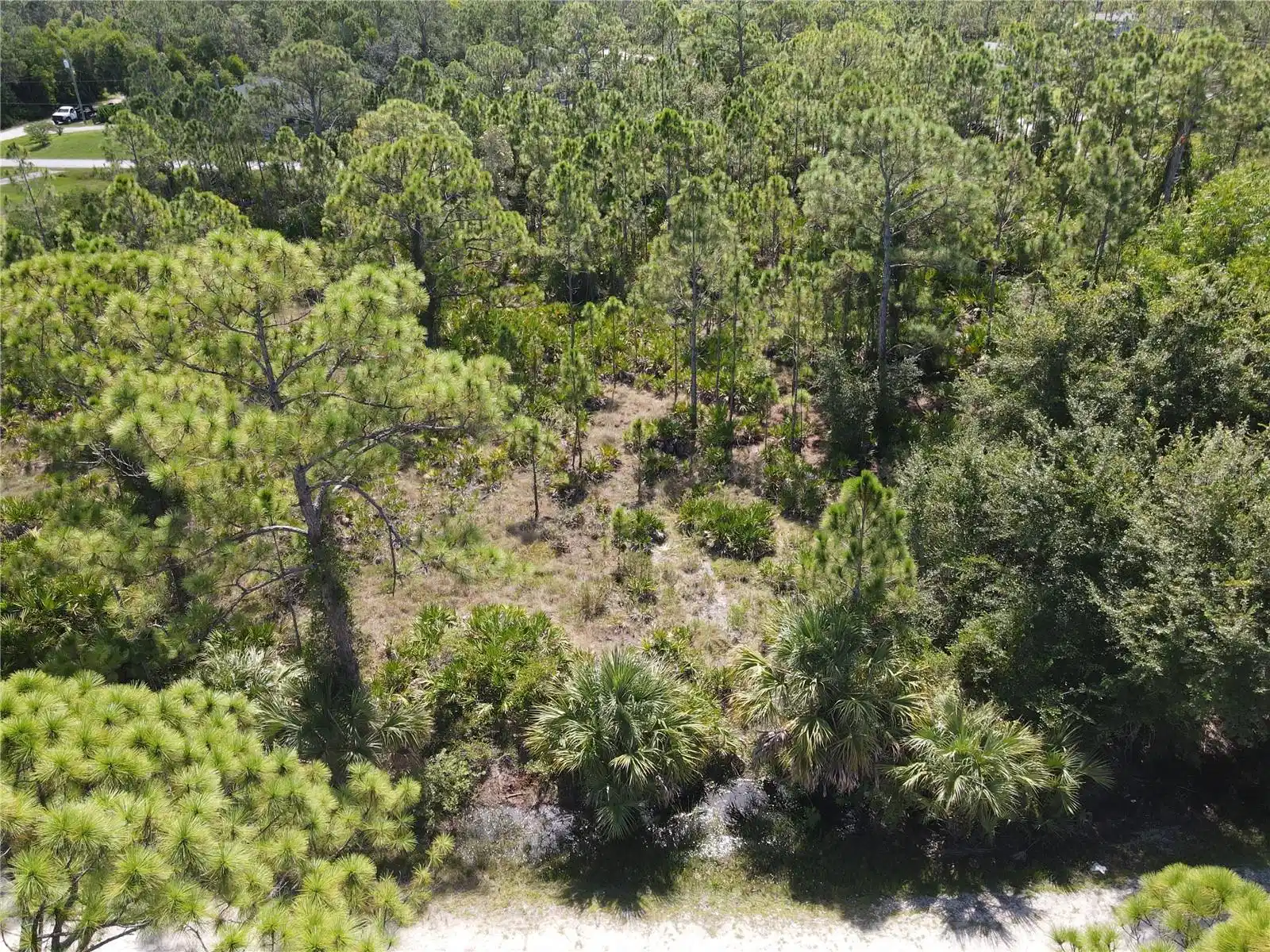 Image 1 Image 1