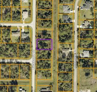 BUCKBOARD STREET