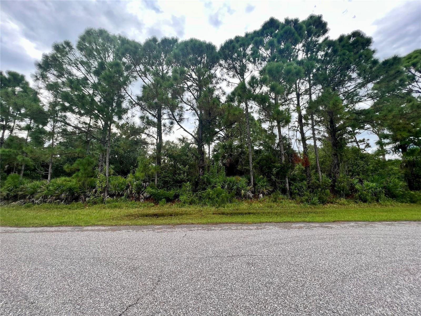Image 1 Image 1