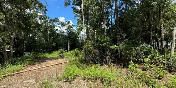 Image 4 Image 4