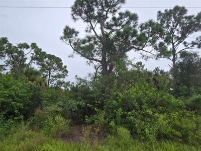 NEWMAN DRIVE