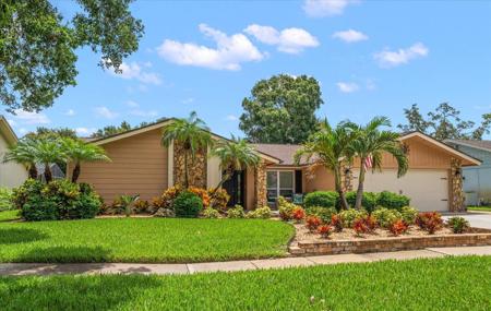 2567 FRISCO DRIVE