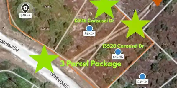 13516 CAROUSEL DRIVE