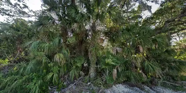Image 3 Image 3