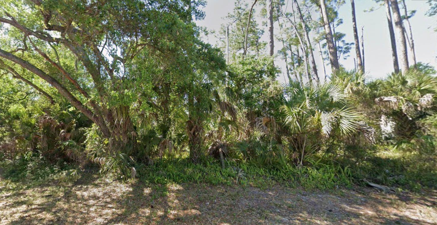 Image 3 Image 3