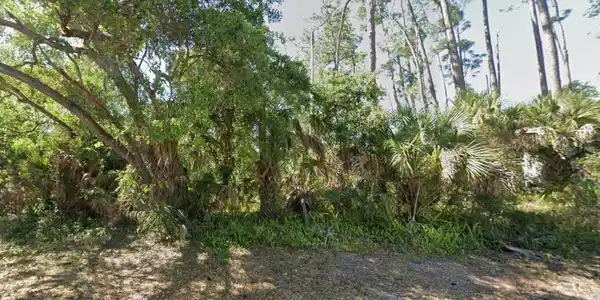 Image 3 Image 3