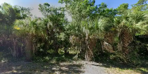 Image 4 Image 4