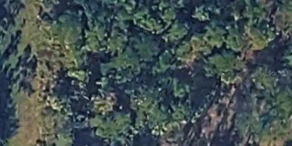 Image 4 Image 4