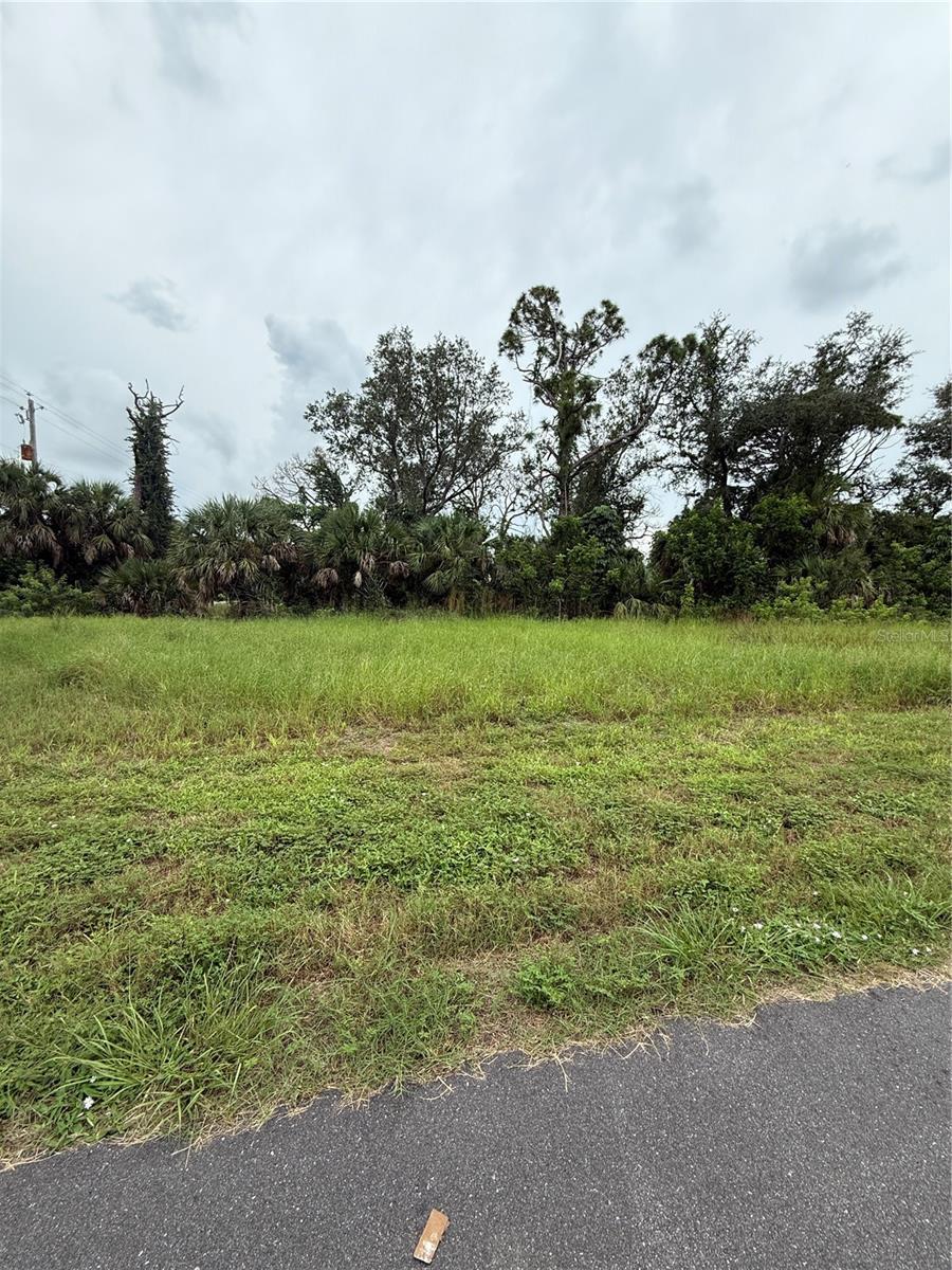 Image 1 Image 1