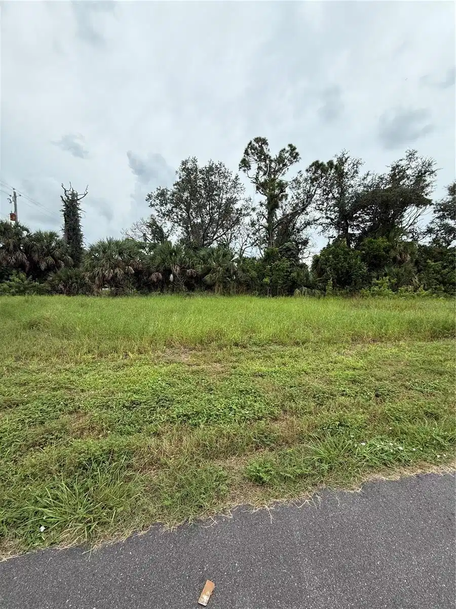 Image 1 Image 1
