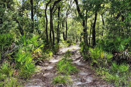 0000 SW COUNTY ROAD 347