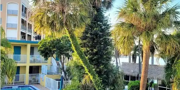 282 TREASURE ISLAND CAUSEWAY