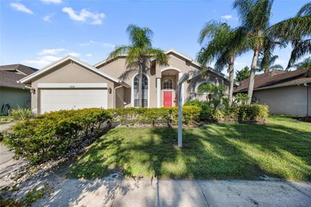 10028 OASIS PALM DR