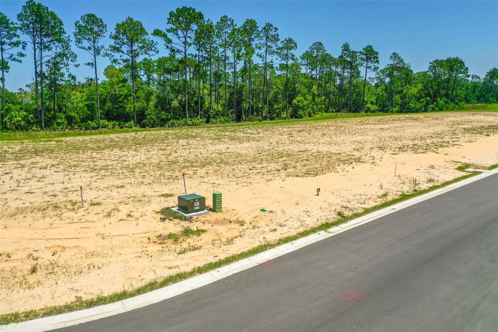 Image 4 Image 4