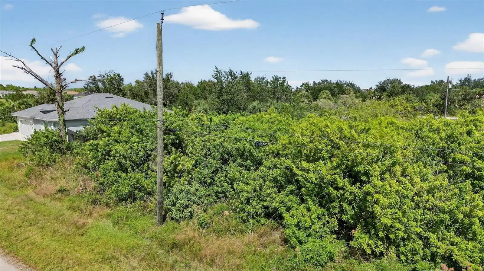 Image 1 Image 1
