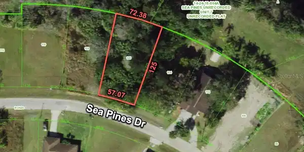 16236 SEA PINES DRIVE