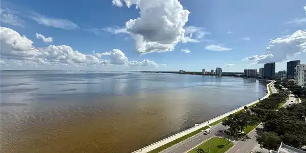 2413 BAYSHORE BOULEVARD
