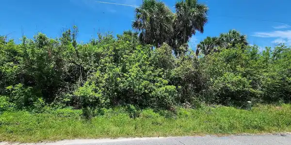 Image 3 Image 3
