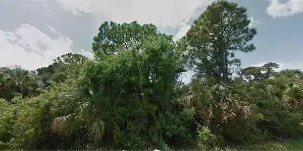 Image 2 Image 2