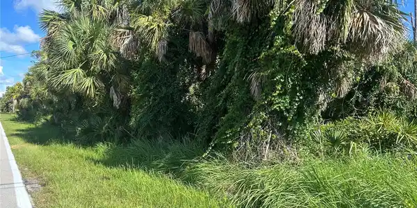 Image 3 Image 3