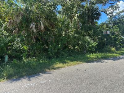SHADY AVENUE