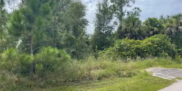 Image 4 Image 4